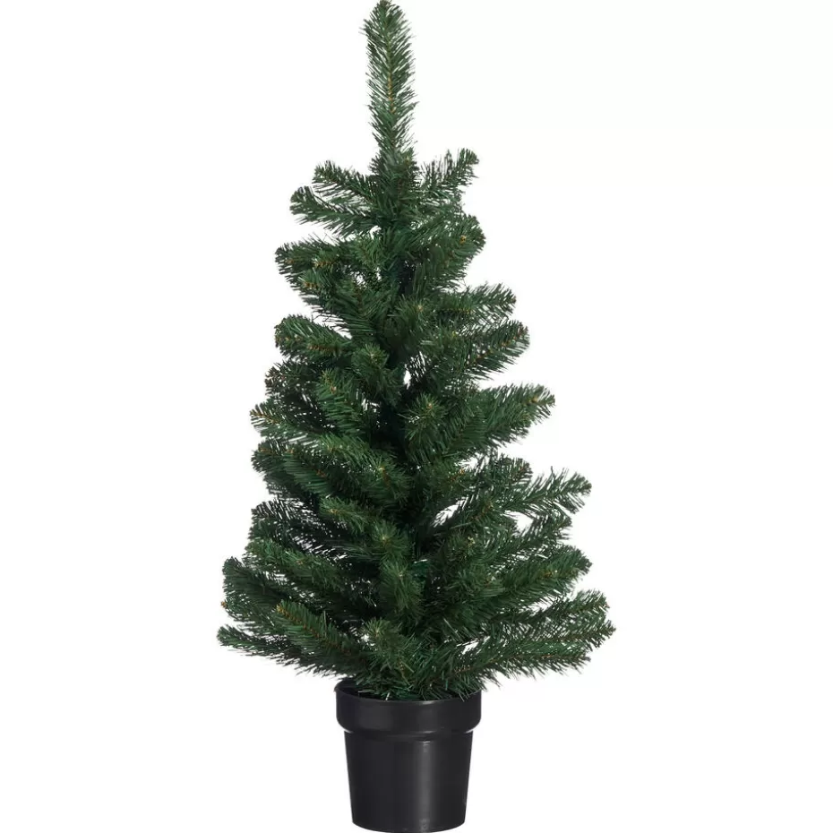 Kwantum Kerstbomen | Kerstboom Fiss Groen