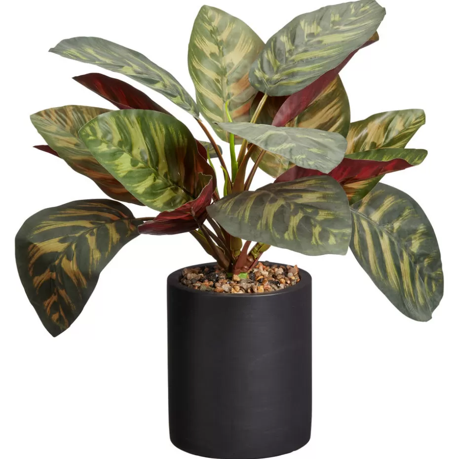 Kwantum Kunstplanten & Kunstbloemen | Kunstplant Calathea Groen