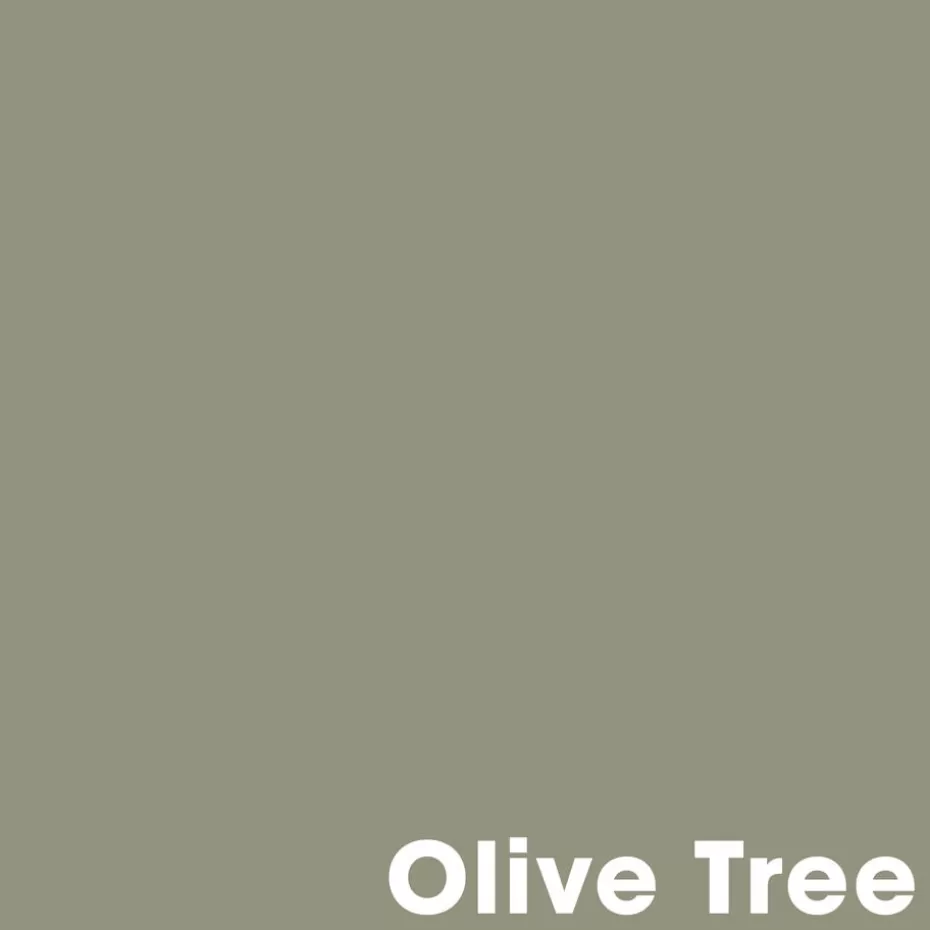 Kwantum Muurverf | Muurverf Professional Olive Tree 1 L 1L